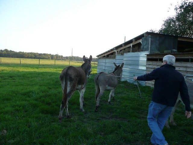 Balthazar et leonard Arrivee (19).jpg